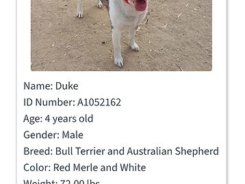 Photo of Duke