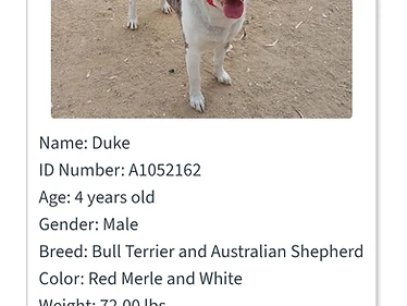 Duke