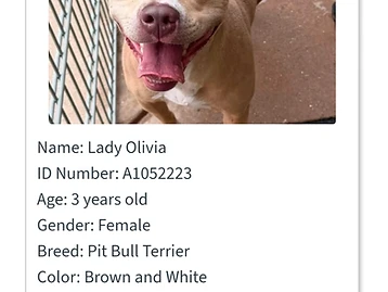 Photo of Lady Olivia