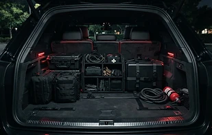 Trunk Organizers