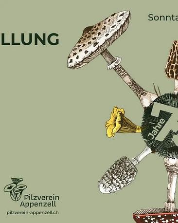 Grosse Pilzausstellung