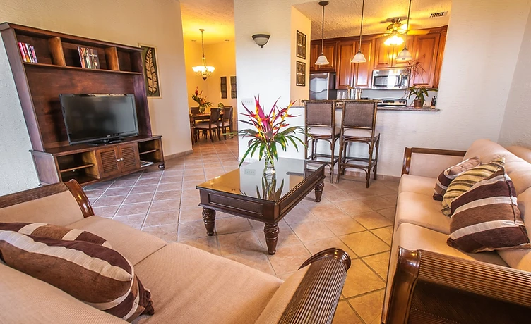 Equipped suite living room and kitchen