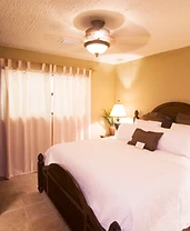 One-Bedroom Suite photo 2