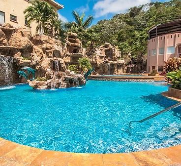 Pool with dolphin fountain and rock waterfall
