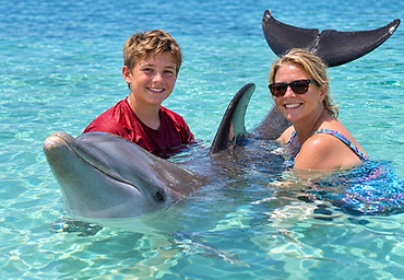 Dolphin encounter in Roatán