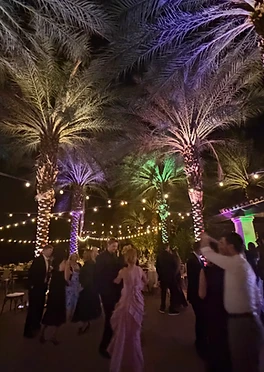 Palm trunks wrapped in string lights with vivid violet and green uplighting