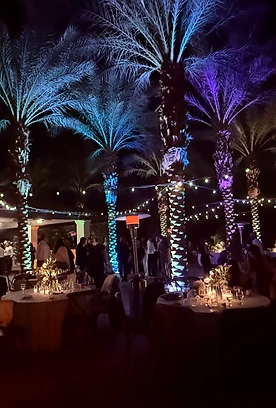 Uplit palms above candlelit dining tables and warm bistro lights