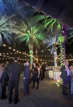 Palm trees lit with lime and violet uplights at an evening reception