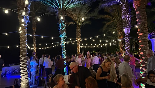Wide shot of palm canopies glowing in purple and blue uplight