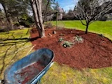 Freshly mulched garden bed with crisp edges