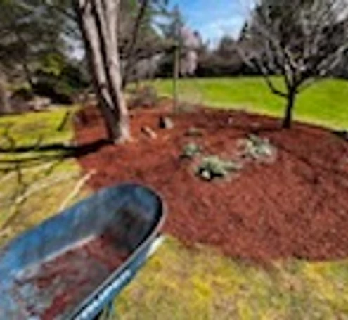 Freshly mulched garden bed with crisp edges