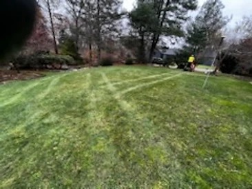 Lawn freshly mowed with a cross-hatch stripe pattern