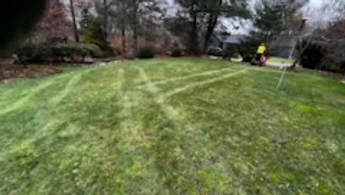 Lawn freshly mowed with a cross-hatch stripe pattern