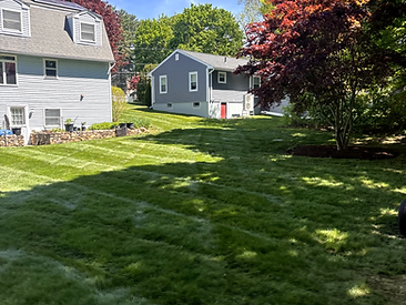 Perfectly mowed residential backyard with lawn stripes