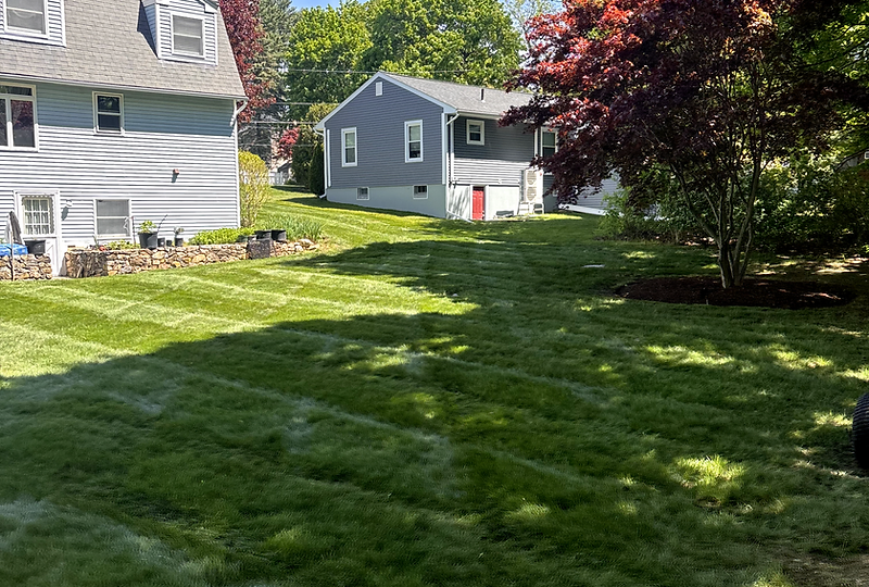 Perfectly mowed residential backyard with lawn stripes
