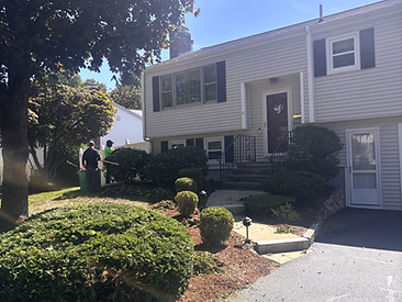 Residential front yard with trimmed bushes and new mulch
