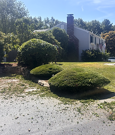 Crew trimming shrubs in front of a house with fresh mulch beds