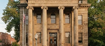 The Law Offices of Anidjar & Levine cover
