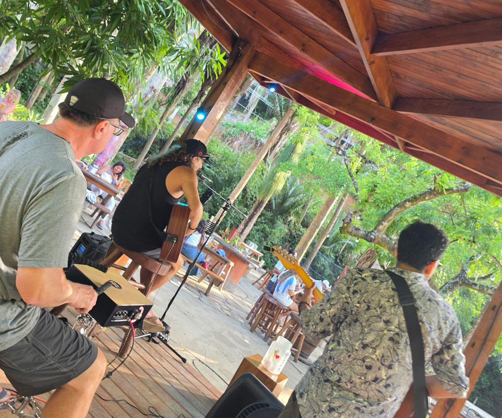 Acoustic Trio