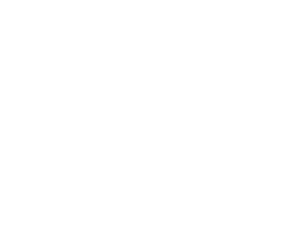 Roatan Island Brewing Co.