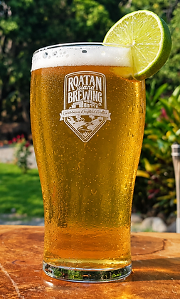Latin Lager