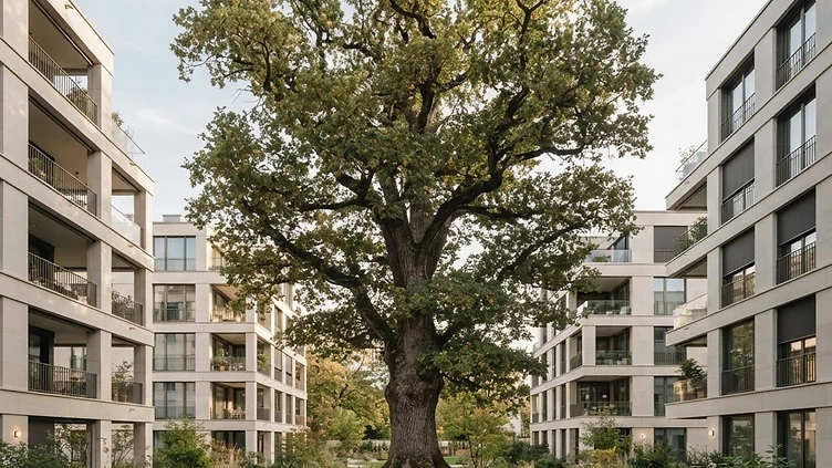 OAKS GROUP | NEWS - Arbres et densification : repenser l’immobilier en Suisse OAKS GROUP | NEWS - Arbres et densification : repenser l’immobilier en Suisse
