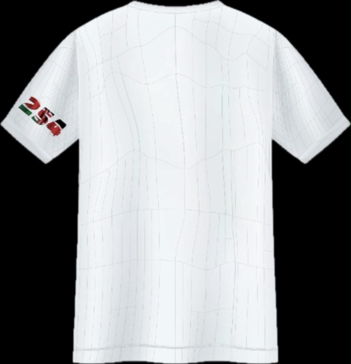 Da Long Chira tee - back