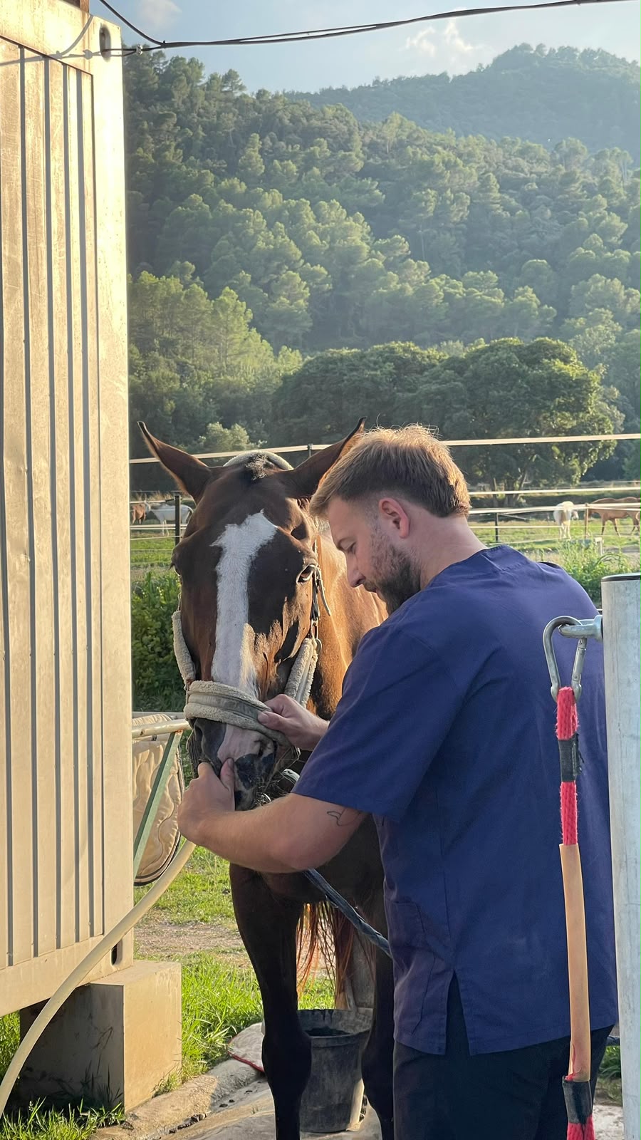 Sergi Ribas examinant un cavall durant una visita veterinària