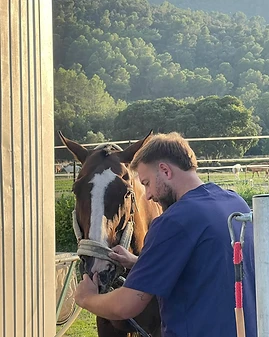 Sergi Ribas examinant un cavall durant una visita veterinària