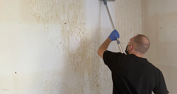 Membre de l’équipe nettoyant un mur avec un outil à manche.