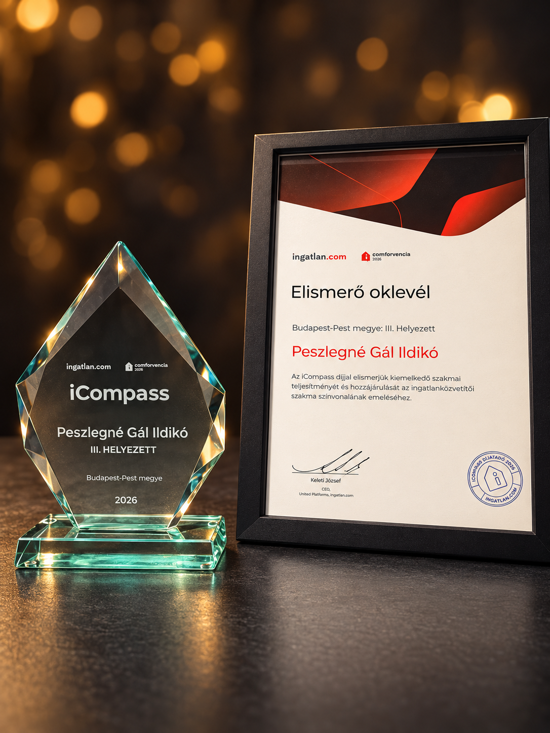 ingatlan.com iCompass díj – III. hely
