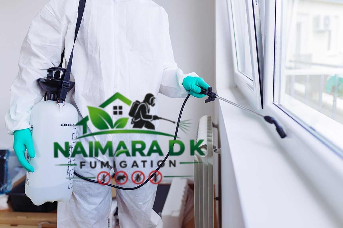 Professional fumigation technician at work