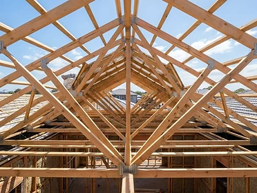 Roof Framing — photo 1