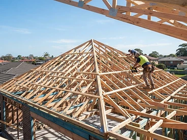 Before — Roof Framing