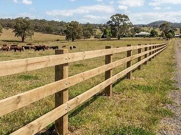 After — Rural Post & Rail Fencing