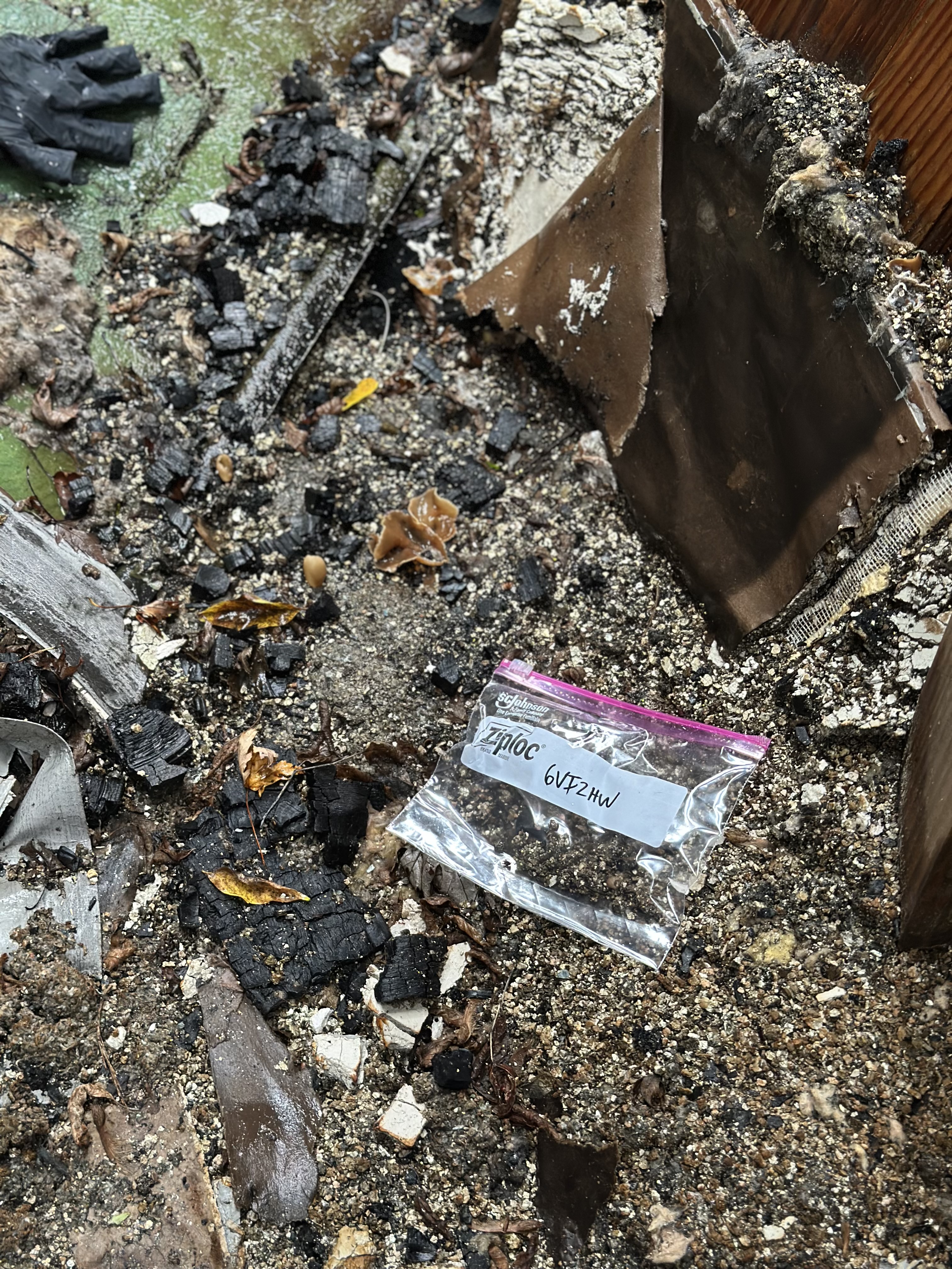 SAFE specialist taking a bulk sample for lab analysis