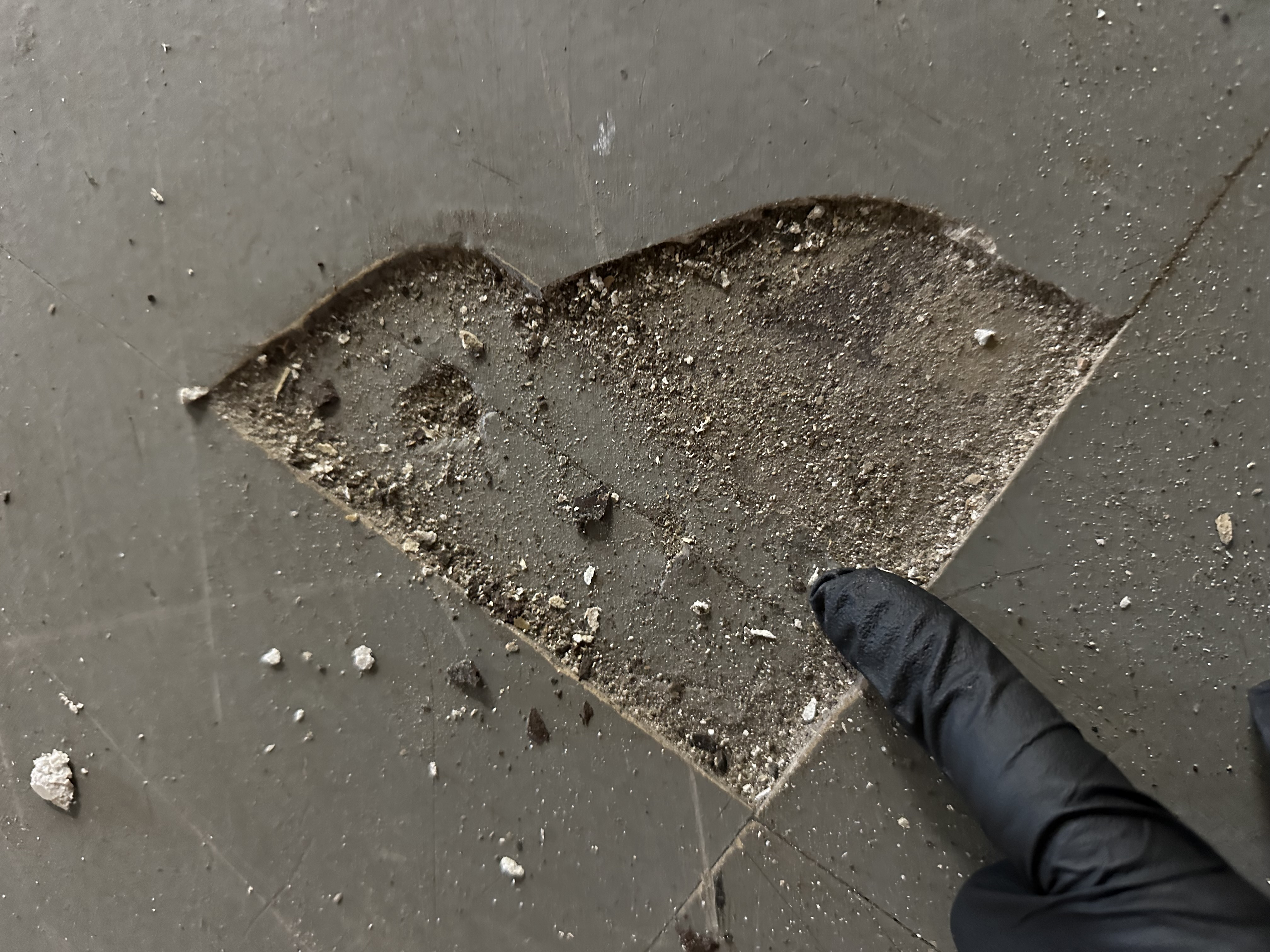 Vinyl floor tile and mastic identified for assessment