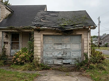 Garage Doors & Roofing — before