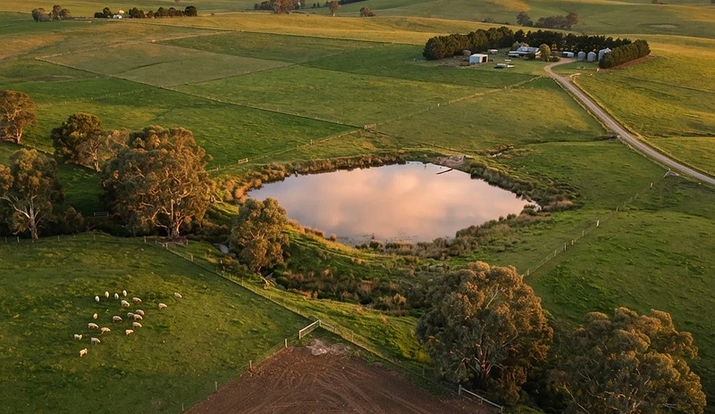Australian farmland at golden hour