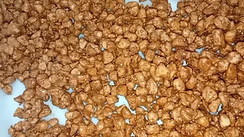 Produto em processo de drageamento
