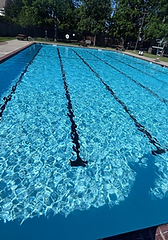 Sunlight reflecting across clear pool water and lane markings
