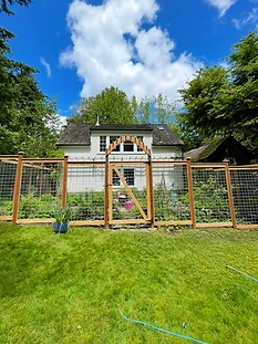 Arched garden gate with wire mesh