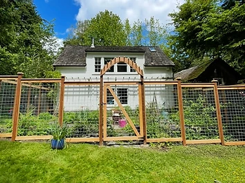 Arched Garden Gate & Wire Fence — client project photo