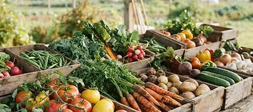 A farmer's harvest and a family's dinner table shouldn't be this far apart