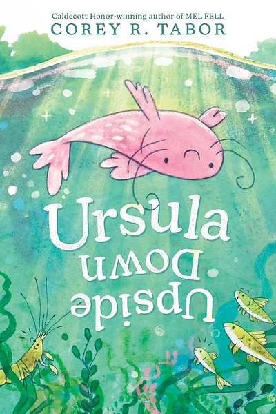 Cover of Ursula Down Upside