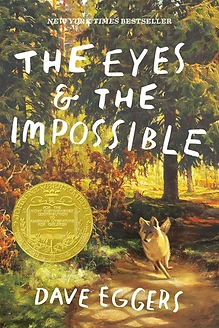 Cover of The Eyes & the Impossible