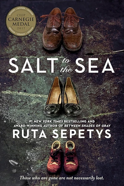 Cover of Salt to the Sea