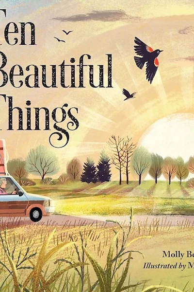 Cover of Ten Beautiful Things