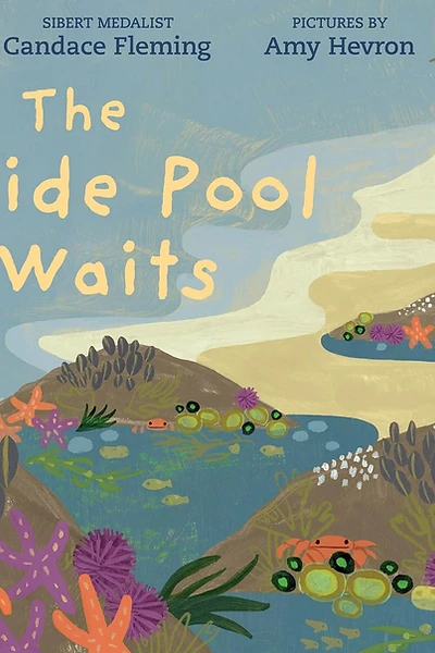 Cover of The Tide Pool Waits