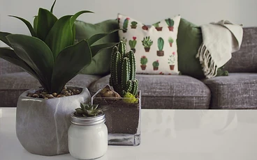 Interior Design Trends in High-End Vacation Rentals